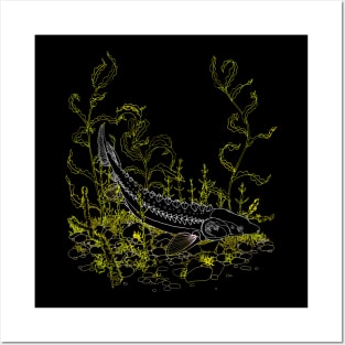 White Sturgeon Posters and Art